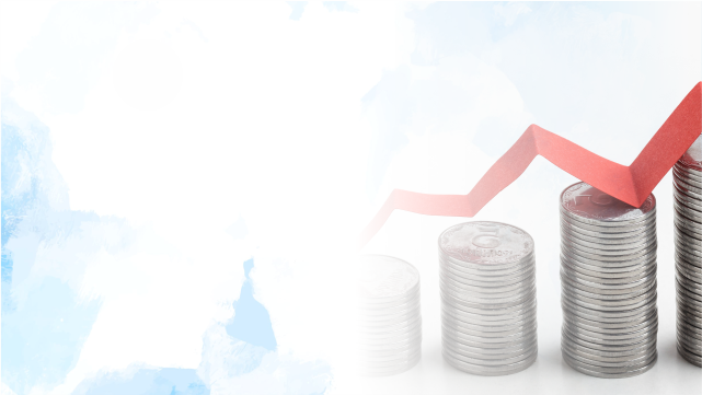 Bank Failure and Resolution